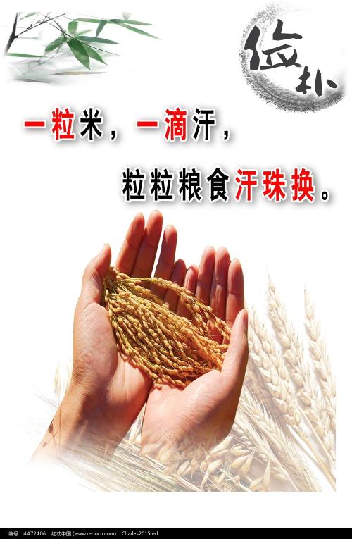加拿大工卡真实样板